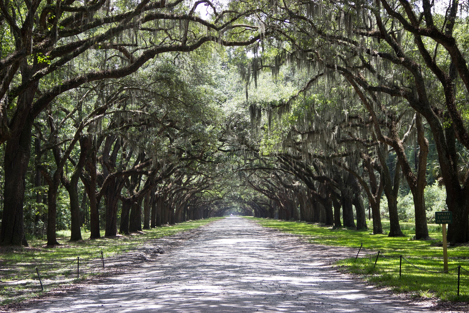 Lost in Savannah, Georgia